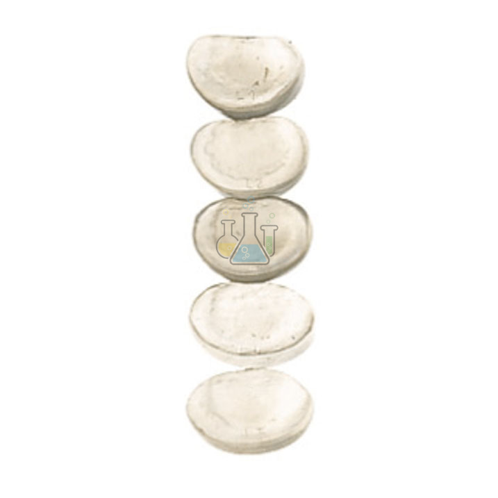 Intervertebral Disc Cervical Model
